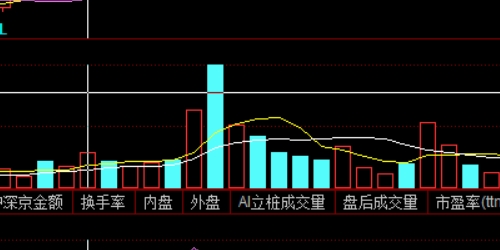 全面解析配资门户网：投资新手的必备工具